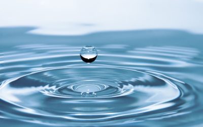 Biodegradable: What it Means When a Cleaning Product Biodegrades