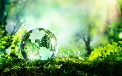 Why You’re Seeing More “Eco-Labels” On Your Cleaning Products