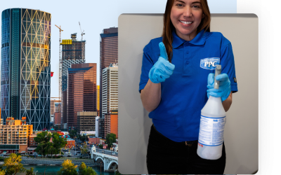 Six Reasons Why You Should Stop Using Toxic Cleaning Solutions